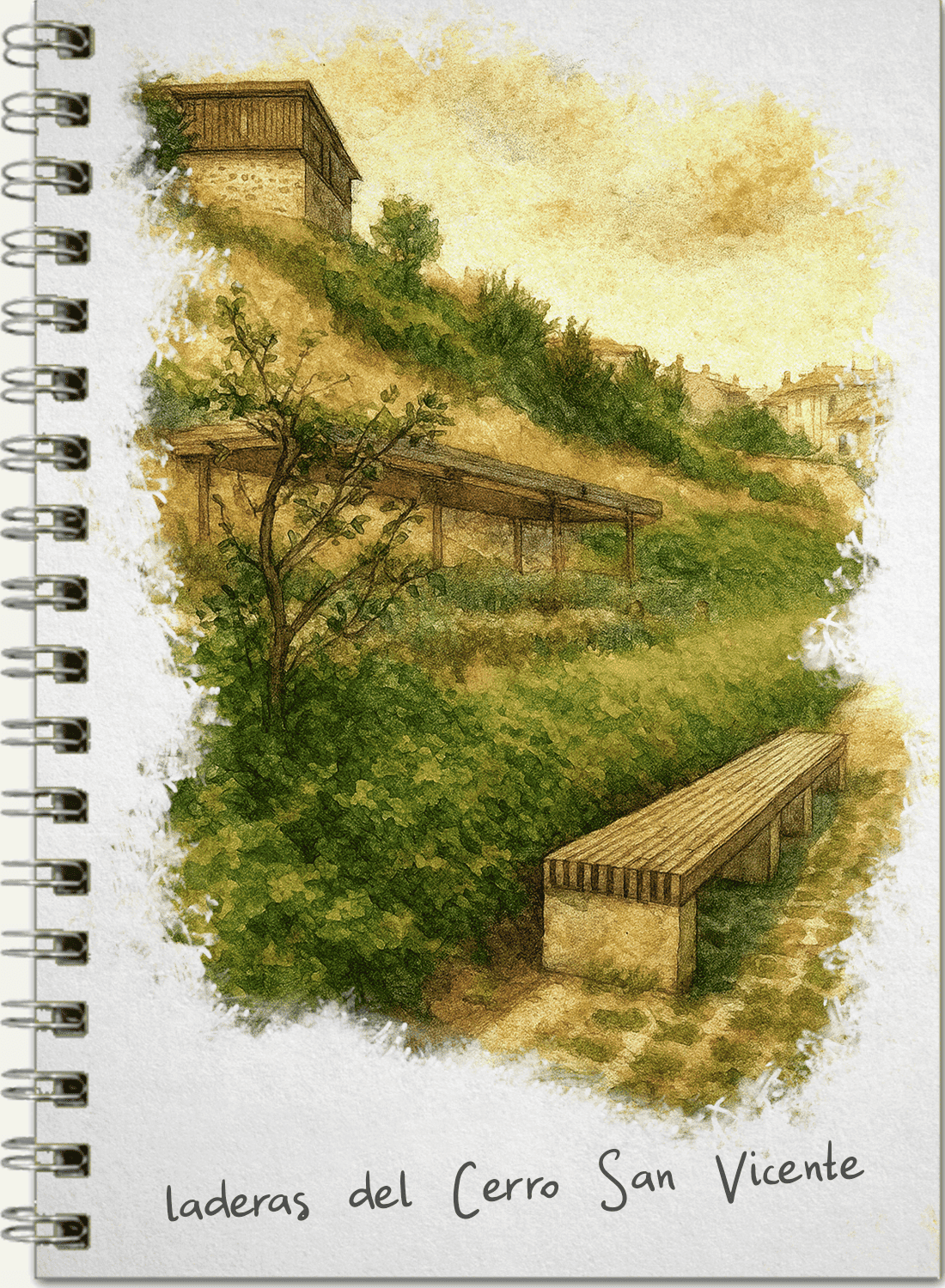 03. Laderas del Cerro San Vicente